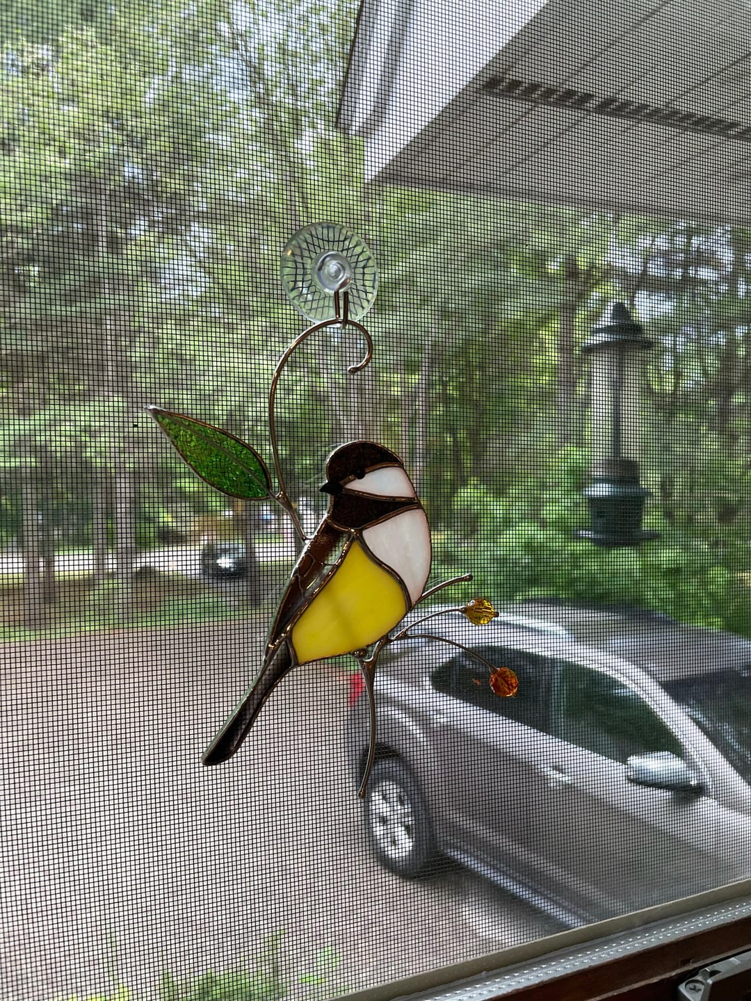 Customer photo review of Chickadee with Berries