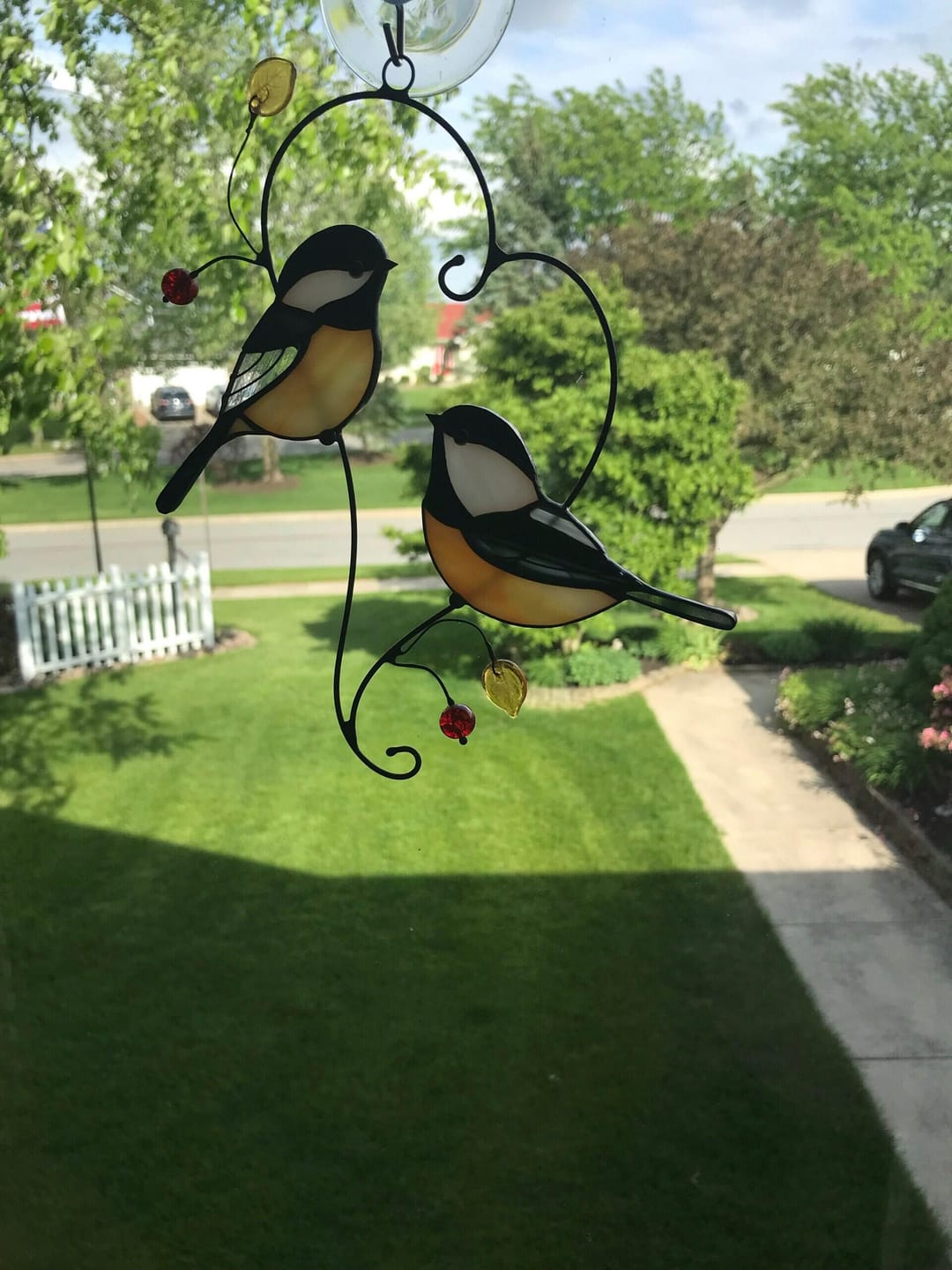 Customer photo review of Couple of Chickadee