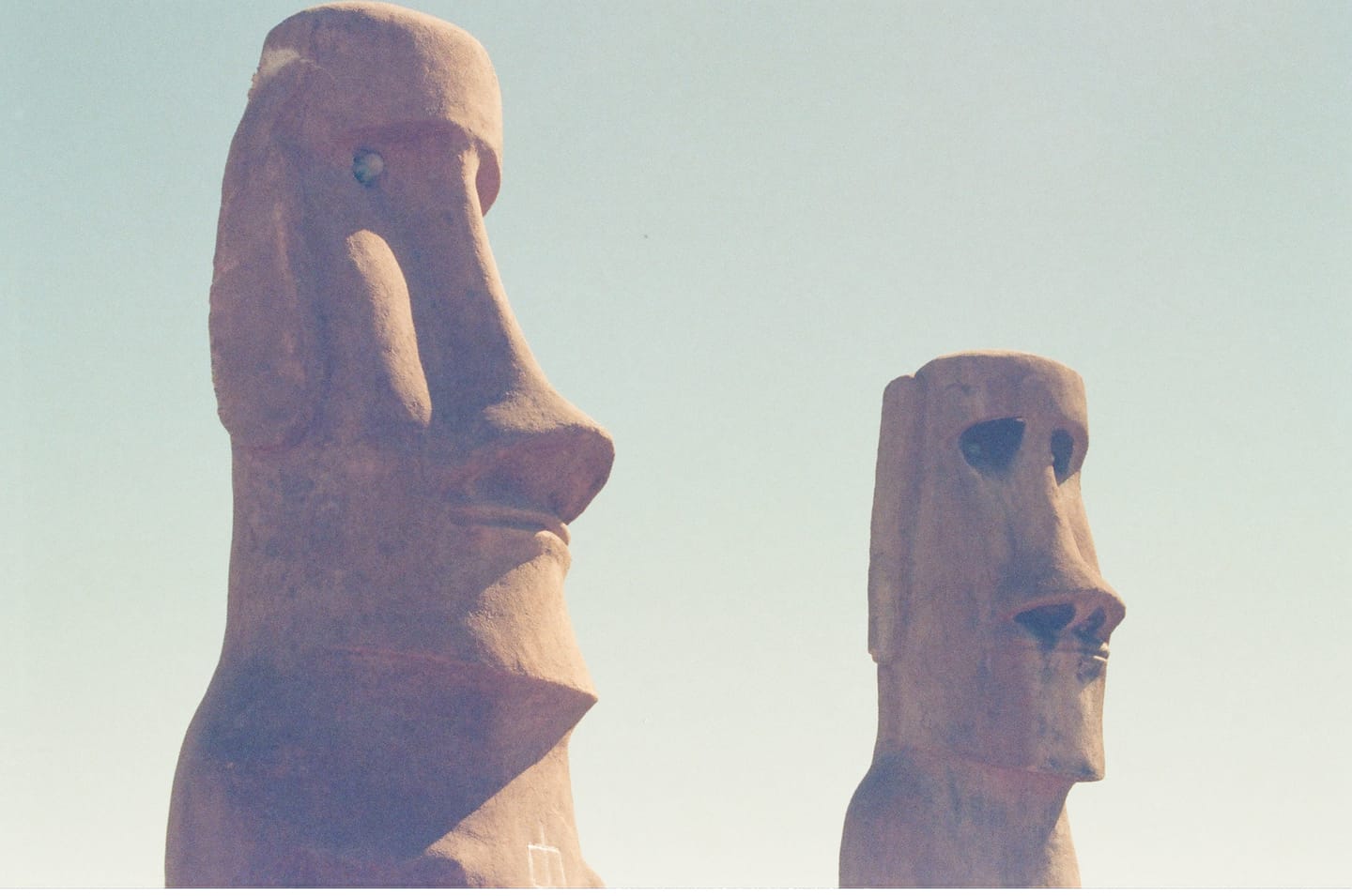 Customer photo review of 35mm Film Processing