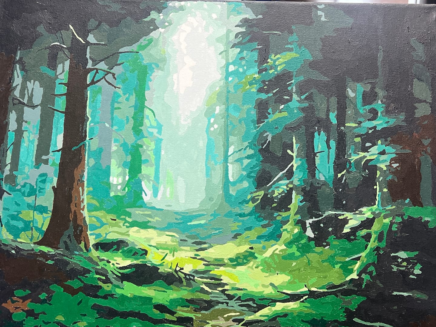 Customer photo review of Misty Forest