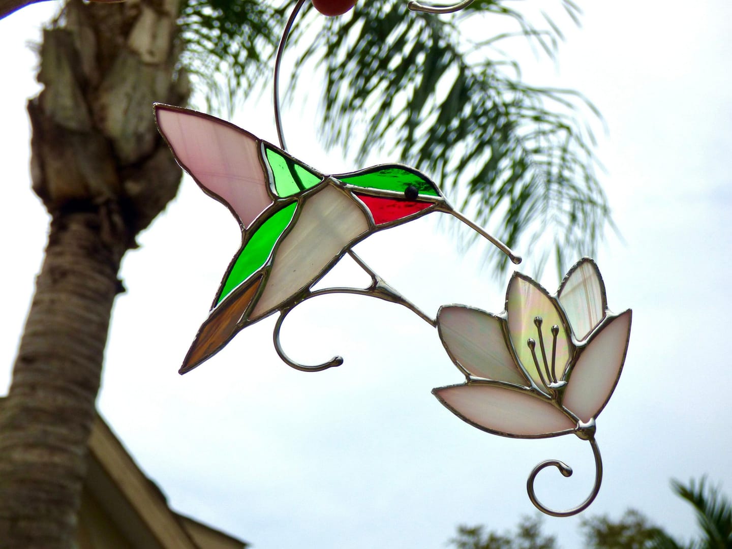 Customer photo review of Ruby-throated Hummingbird with the Flower