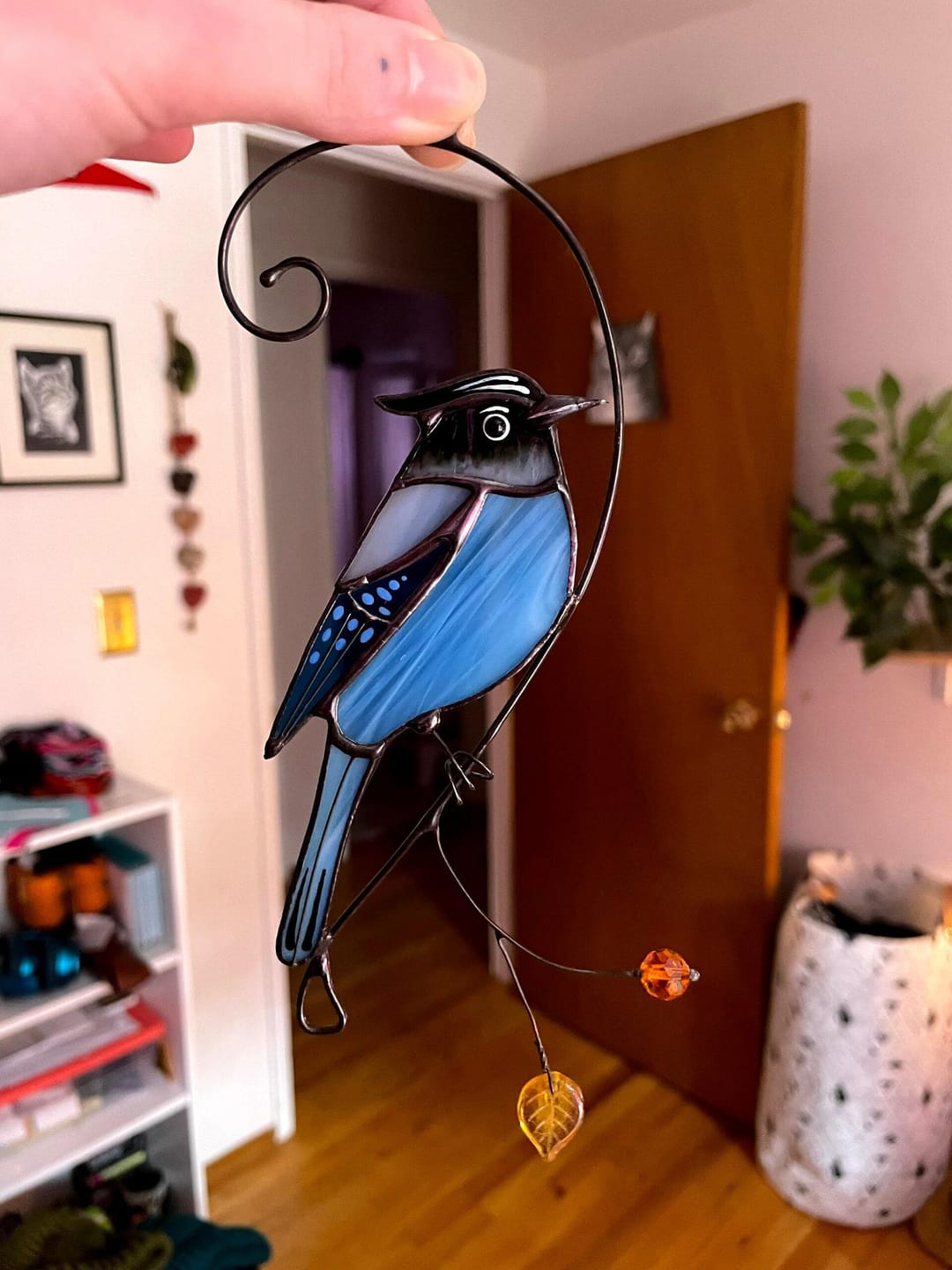 Customer photo review of Steller Jay Suncatcher