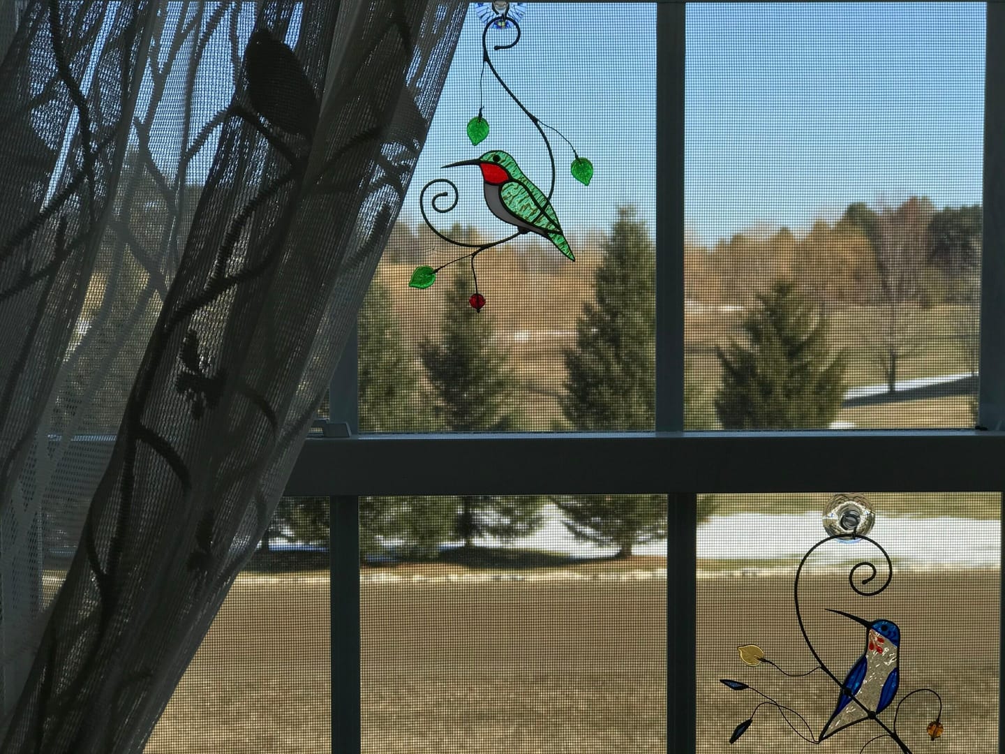 Customer photo review of Green Ruby-throated Hummingbird window hanging