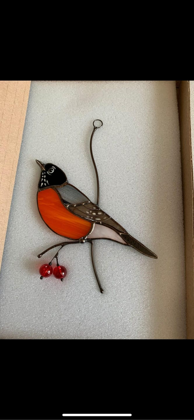 Customer photo review of American Robin Bird