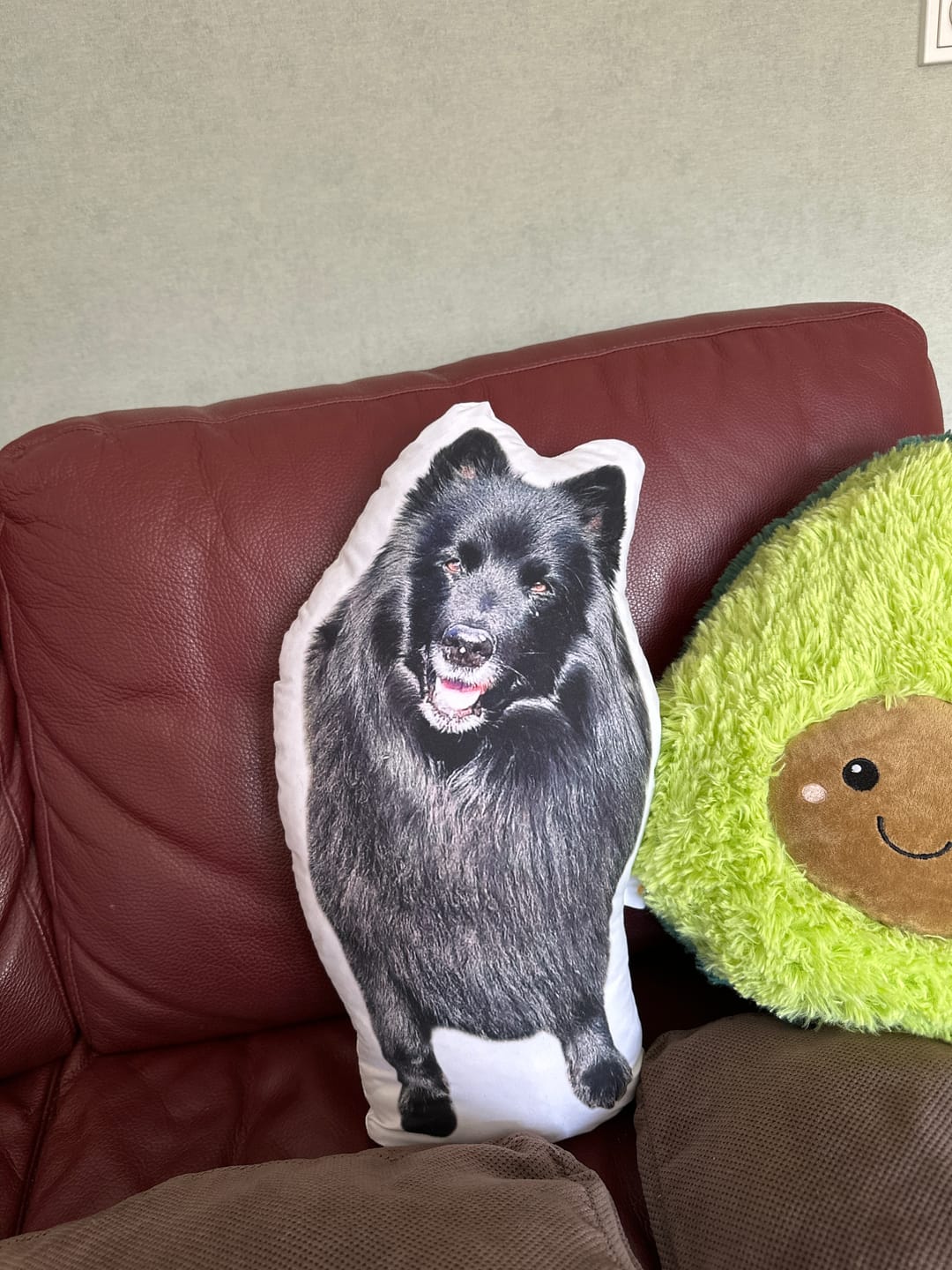 Customer photo review of Personalisiertes Hundekissen