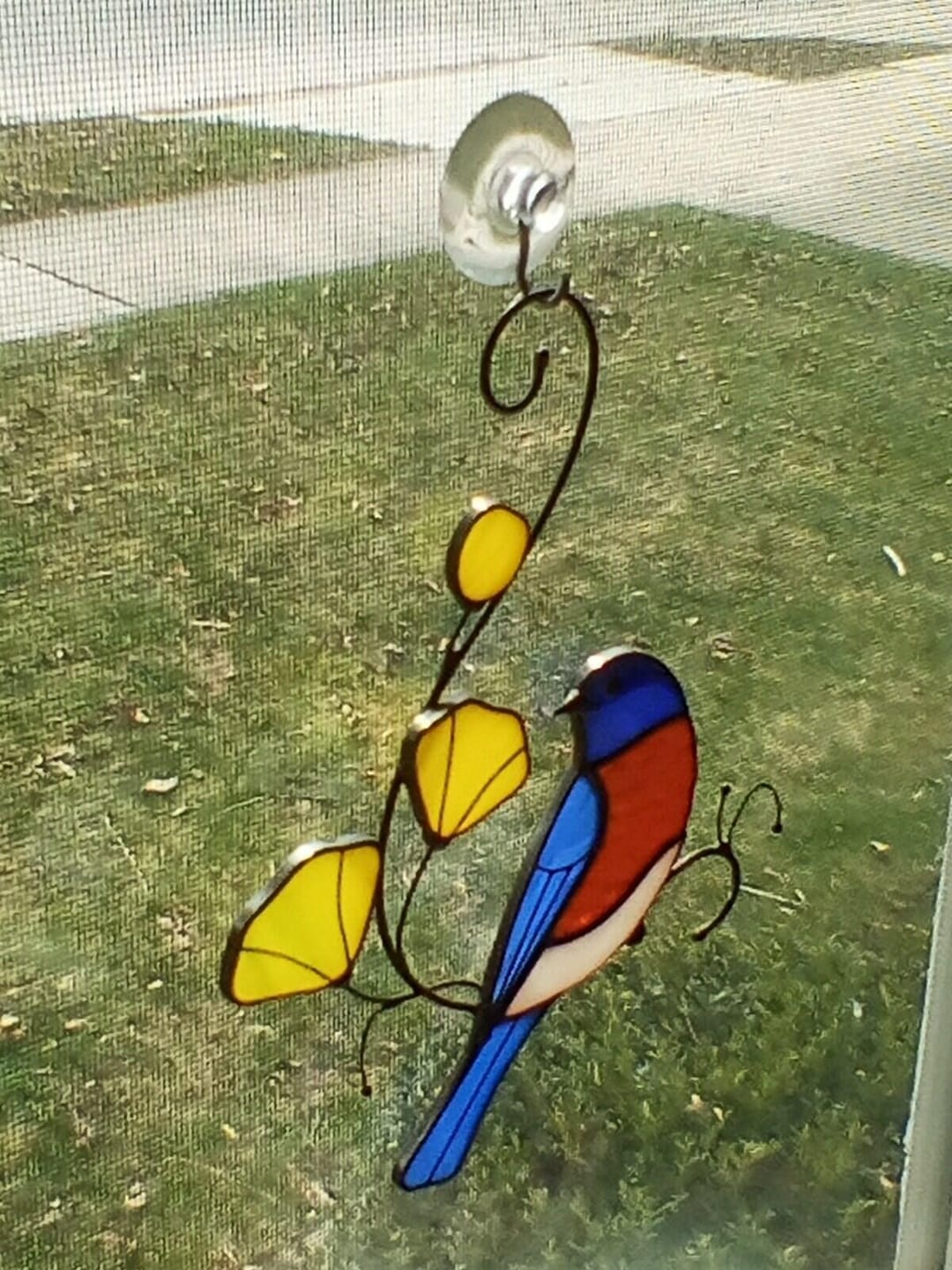 Customer photo review of Bluebird with Yellow Flowers