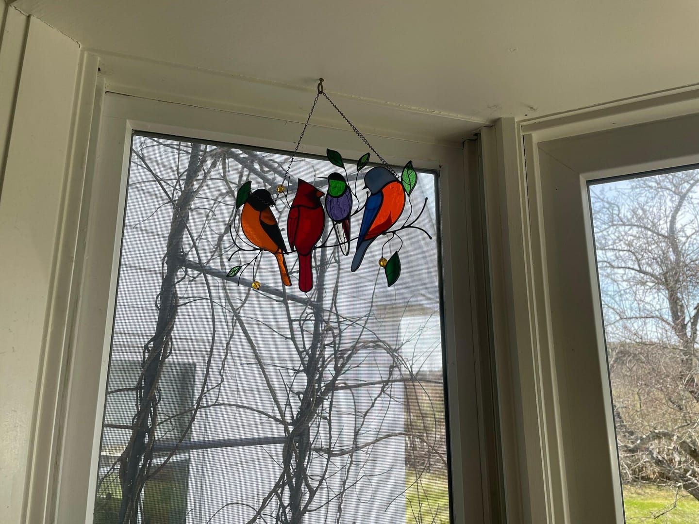 Customer photo review of Four Birds on the Branch