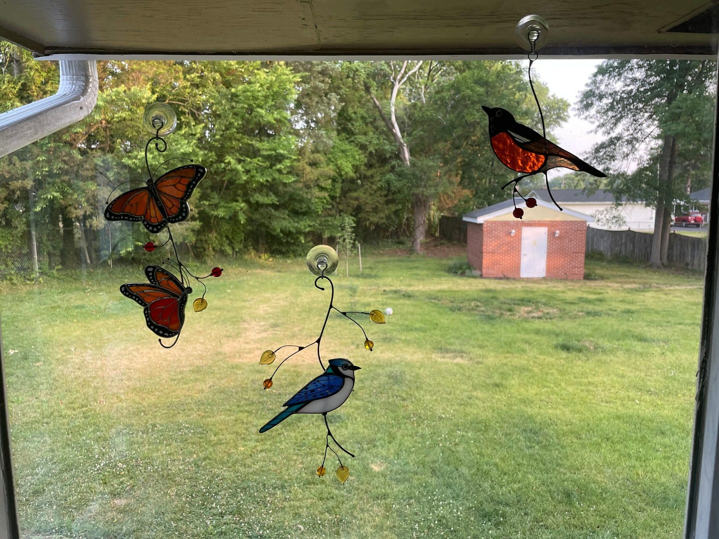 Customer photo review of Blue Jay stained glass bird realistic on a branch