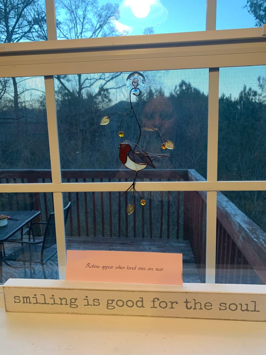 Customer photo review of Stained glass Robin Bird