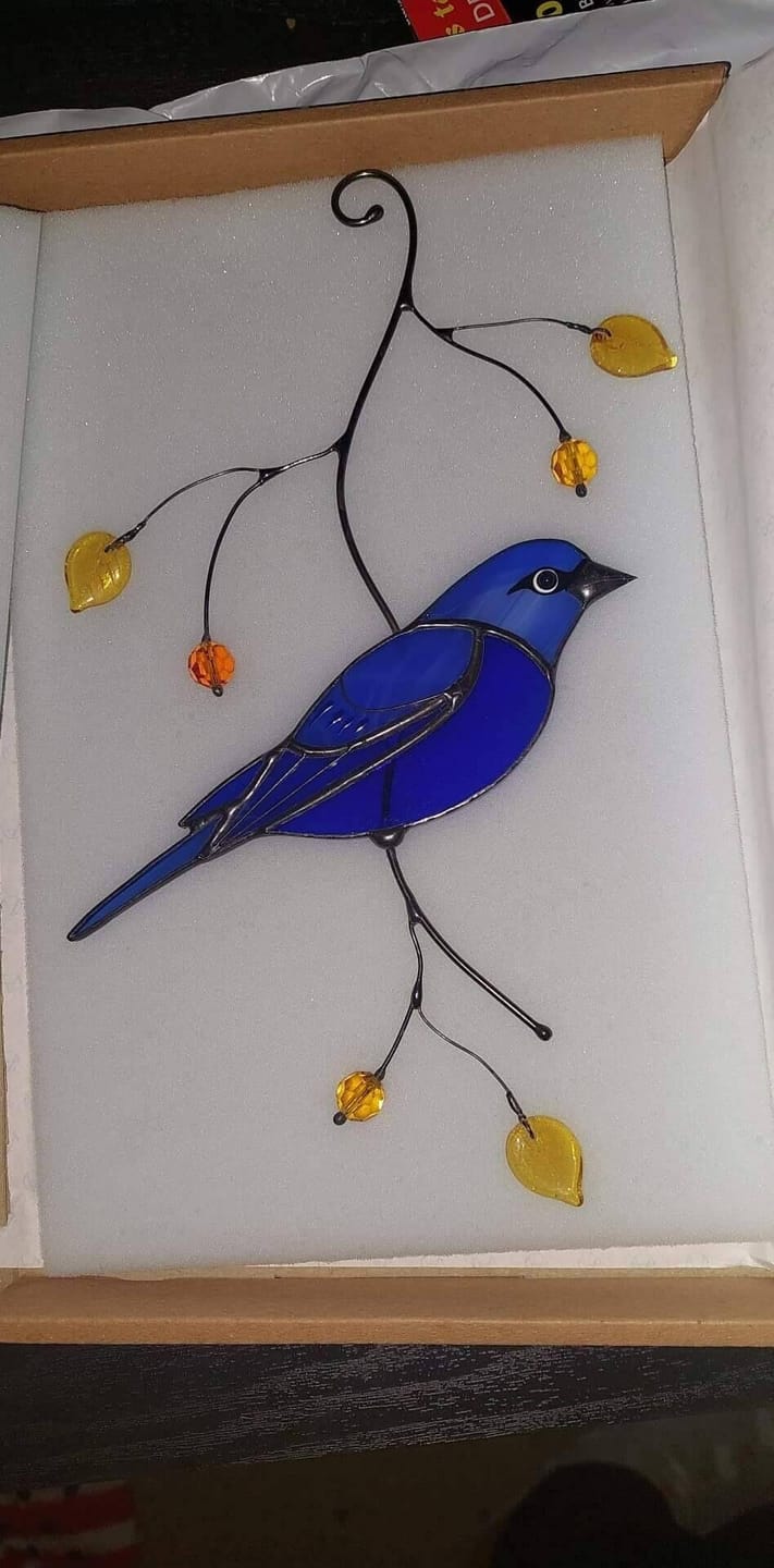 Customer photo review of Indigo Bunting Bird