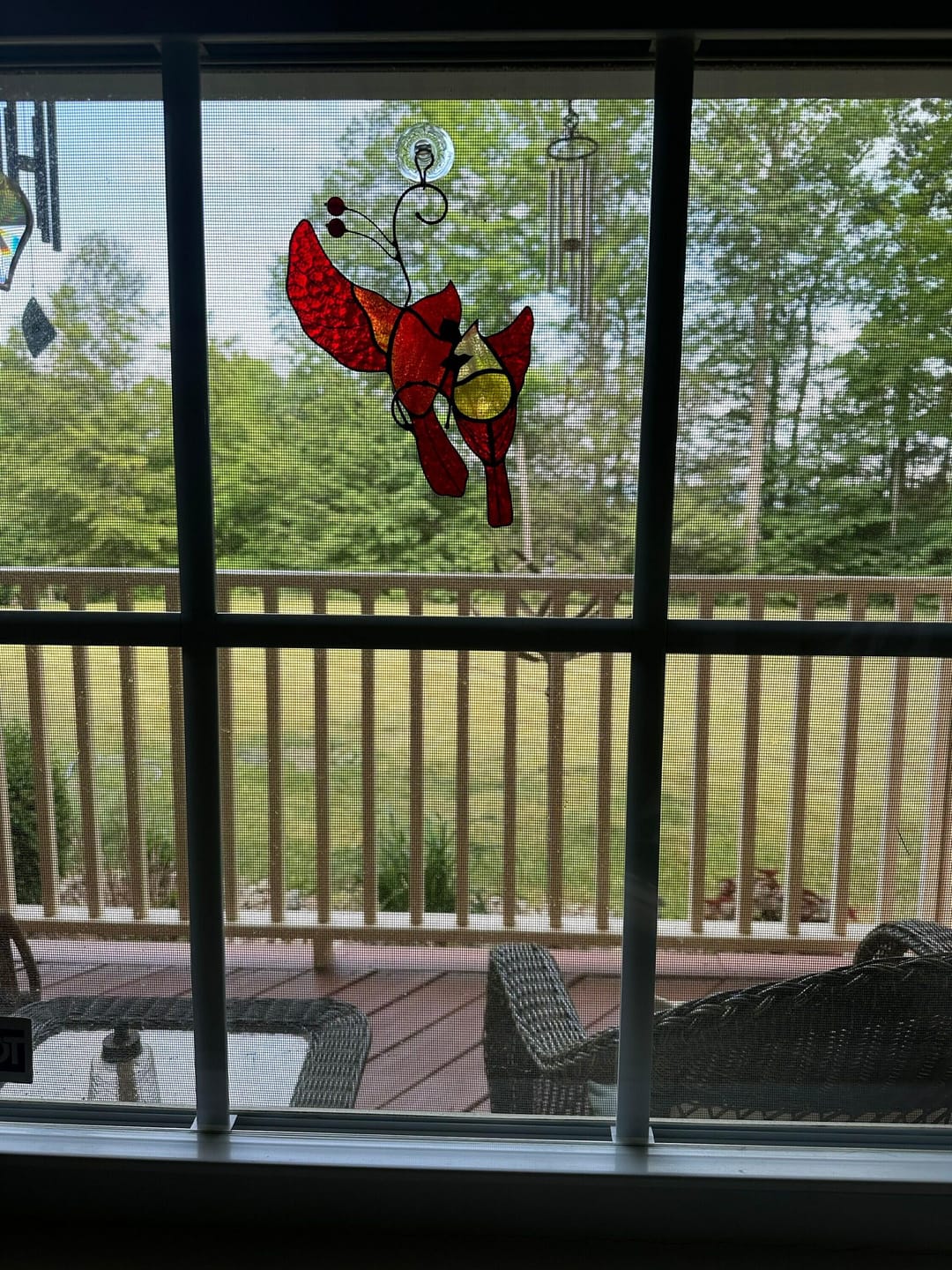 Customer photo review of Hugging Red Cardinals