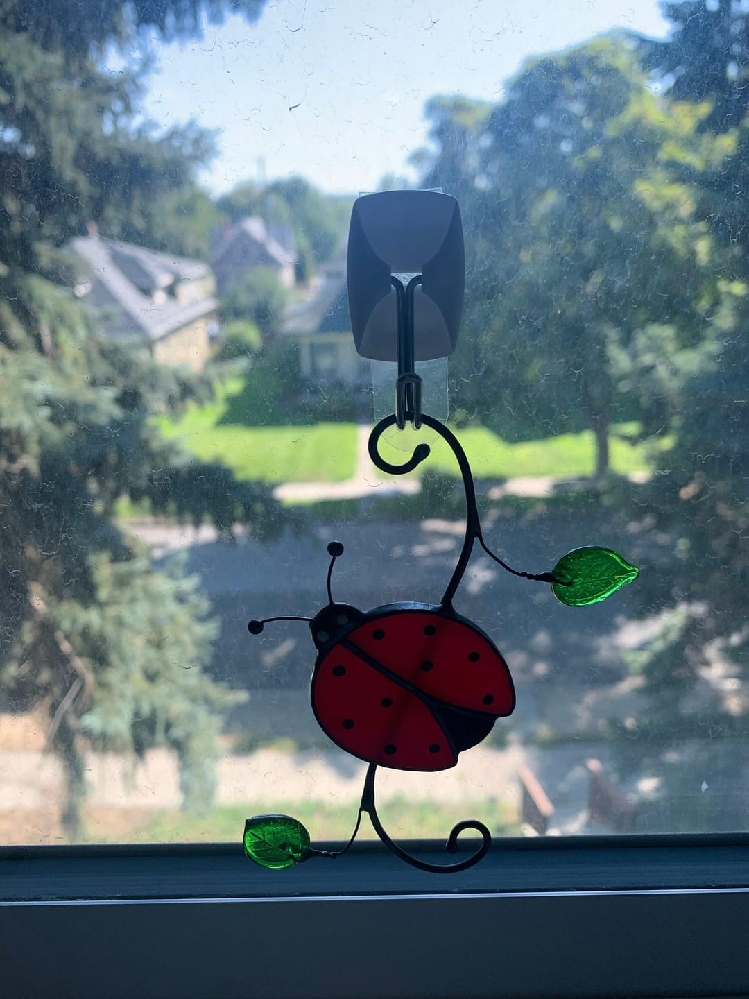 Customer photo review of Red Ladybug Suncatcher