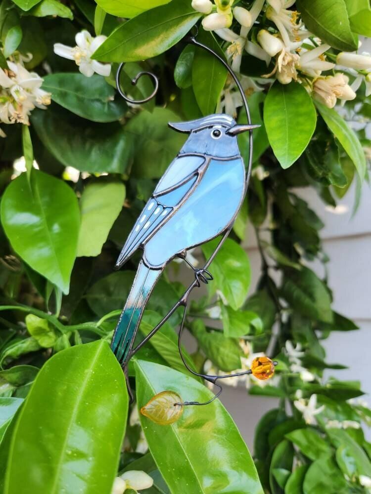 Customer photo review of Steller Jay Suncatcher