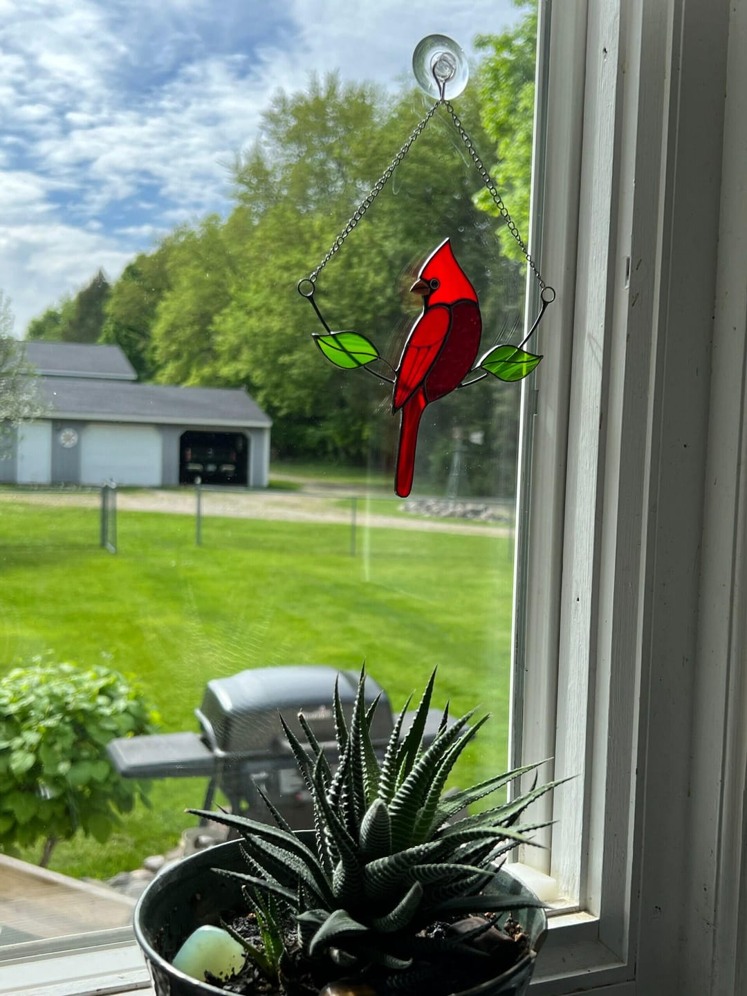 Customer photo review of Cardinal on the Chain