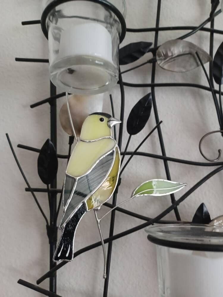 Customer photo review of Goldfinch Bird