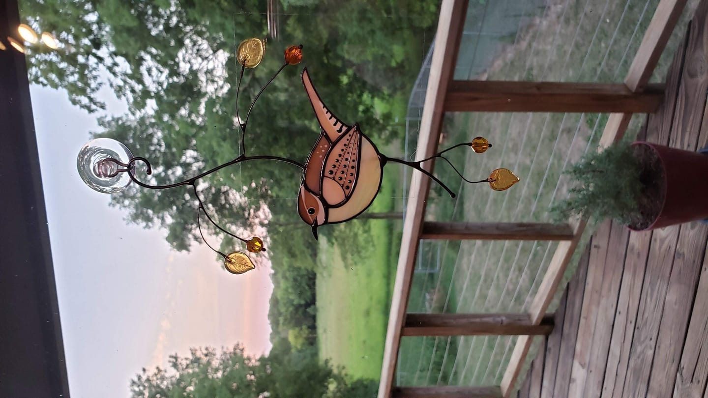 Customer photo review of Carolina Wren