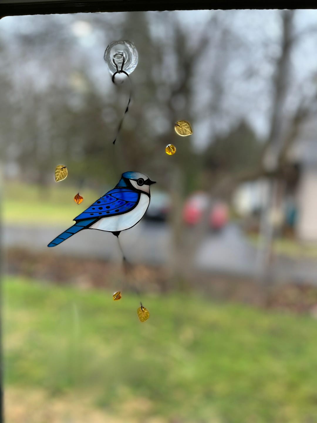 Customer photo review of Blue Jay stained glass bird realistic on a branch