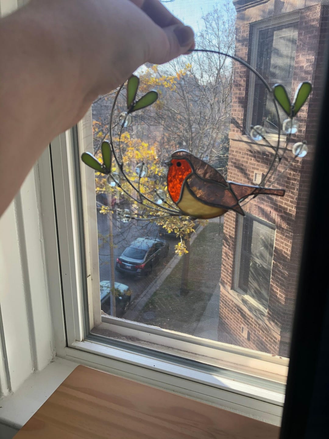 Customer photo review of Robin on the Mistletoe