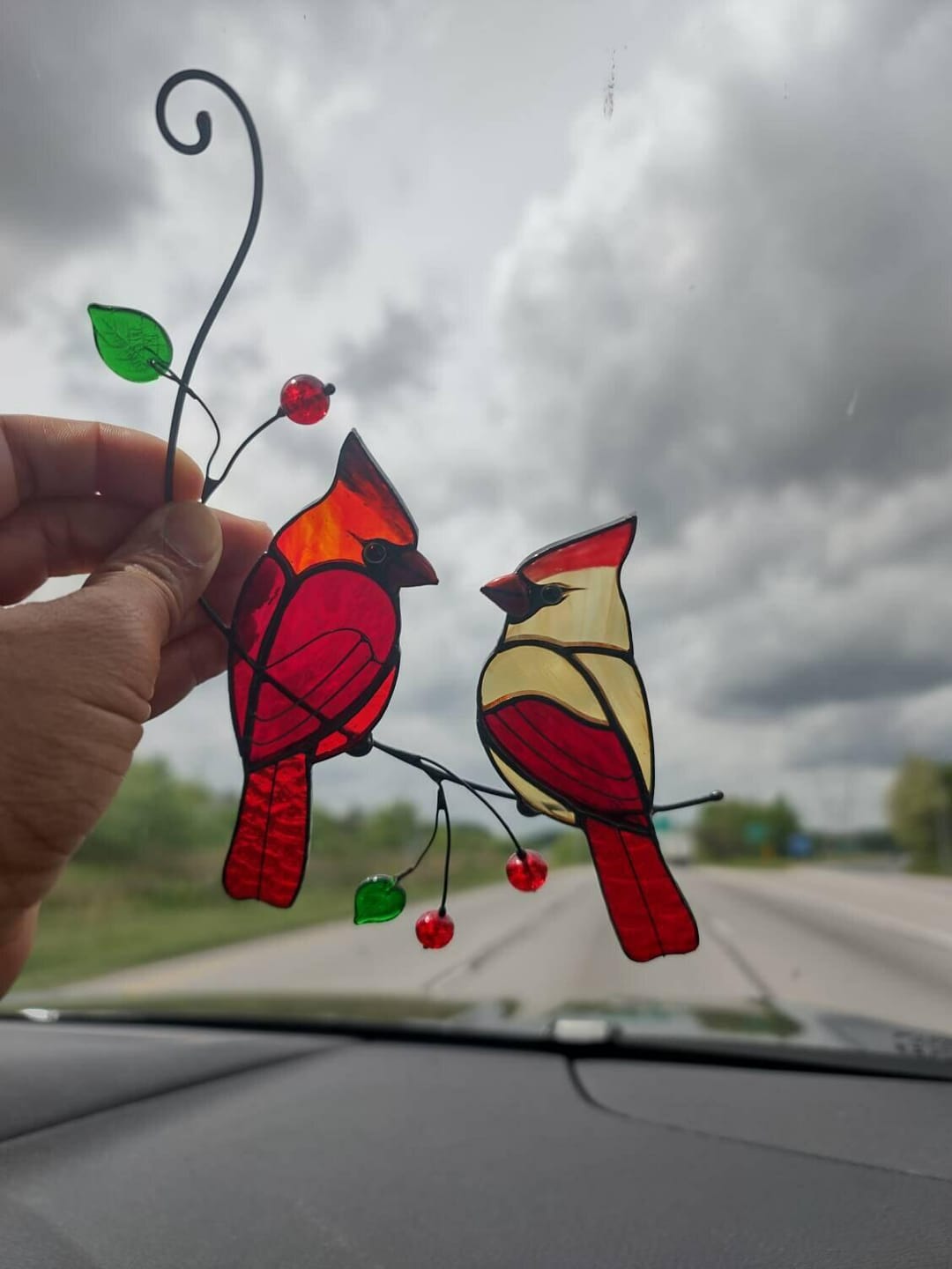 Customer photo review of Hugging Red Cardinals