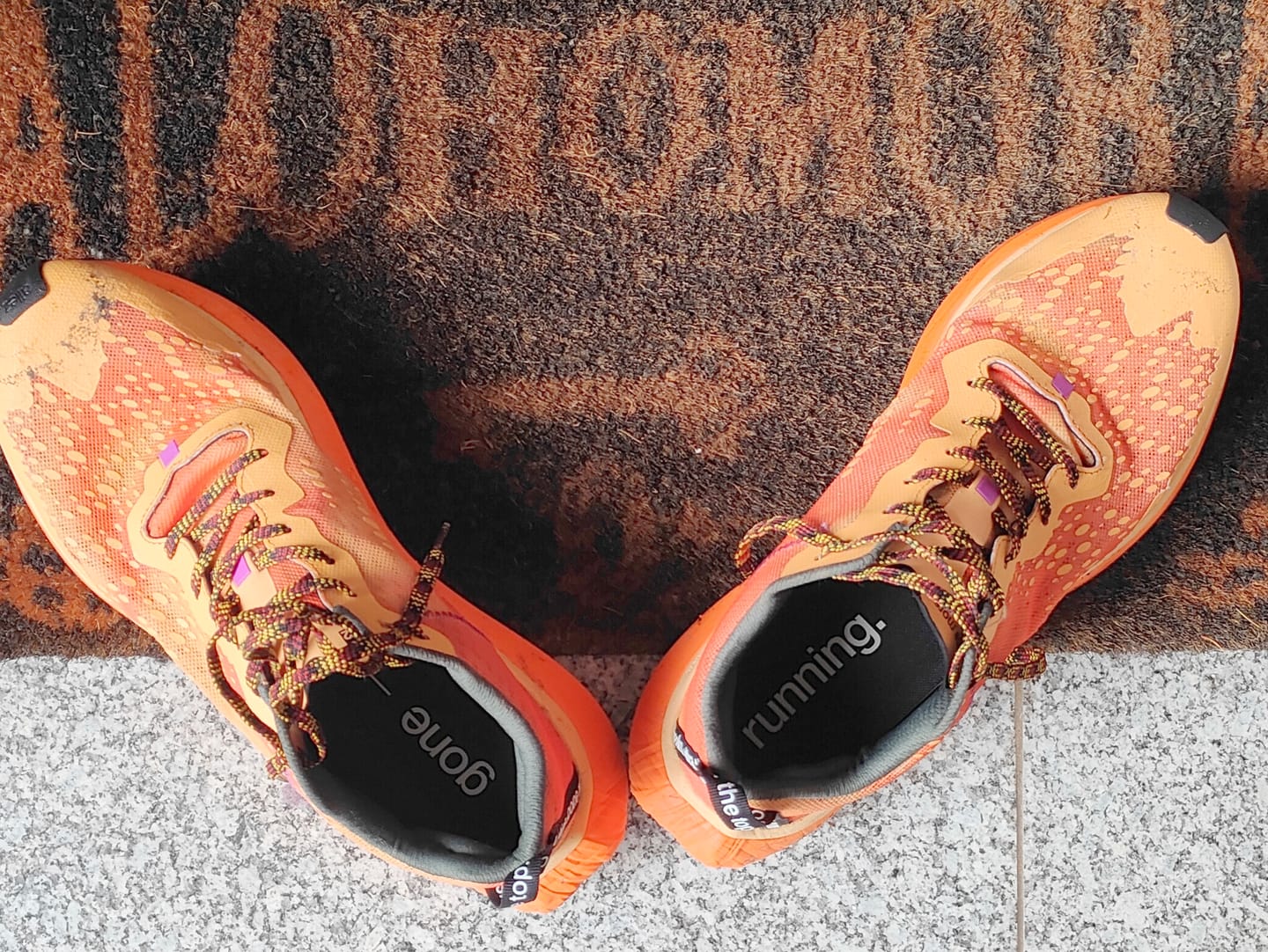 Customer photo review of one more, dutch orange.