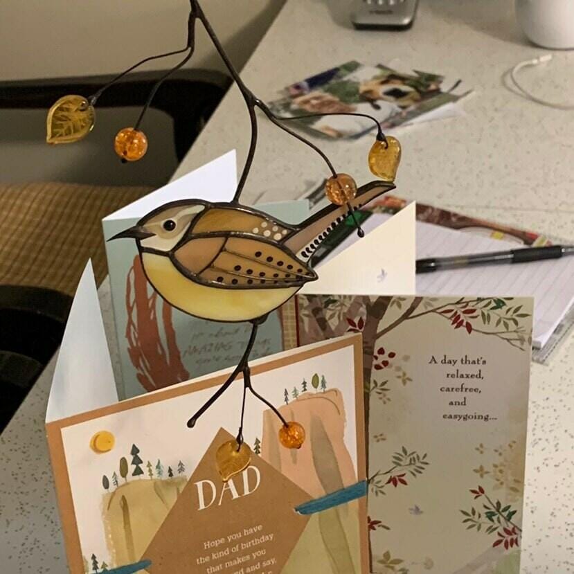 Customer photo review of Carolina Wren