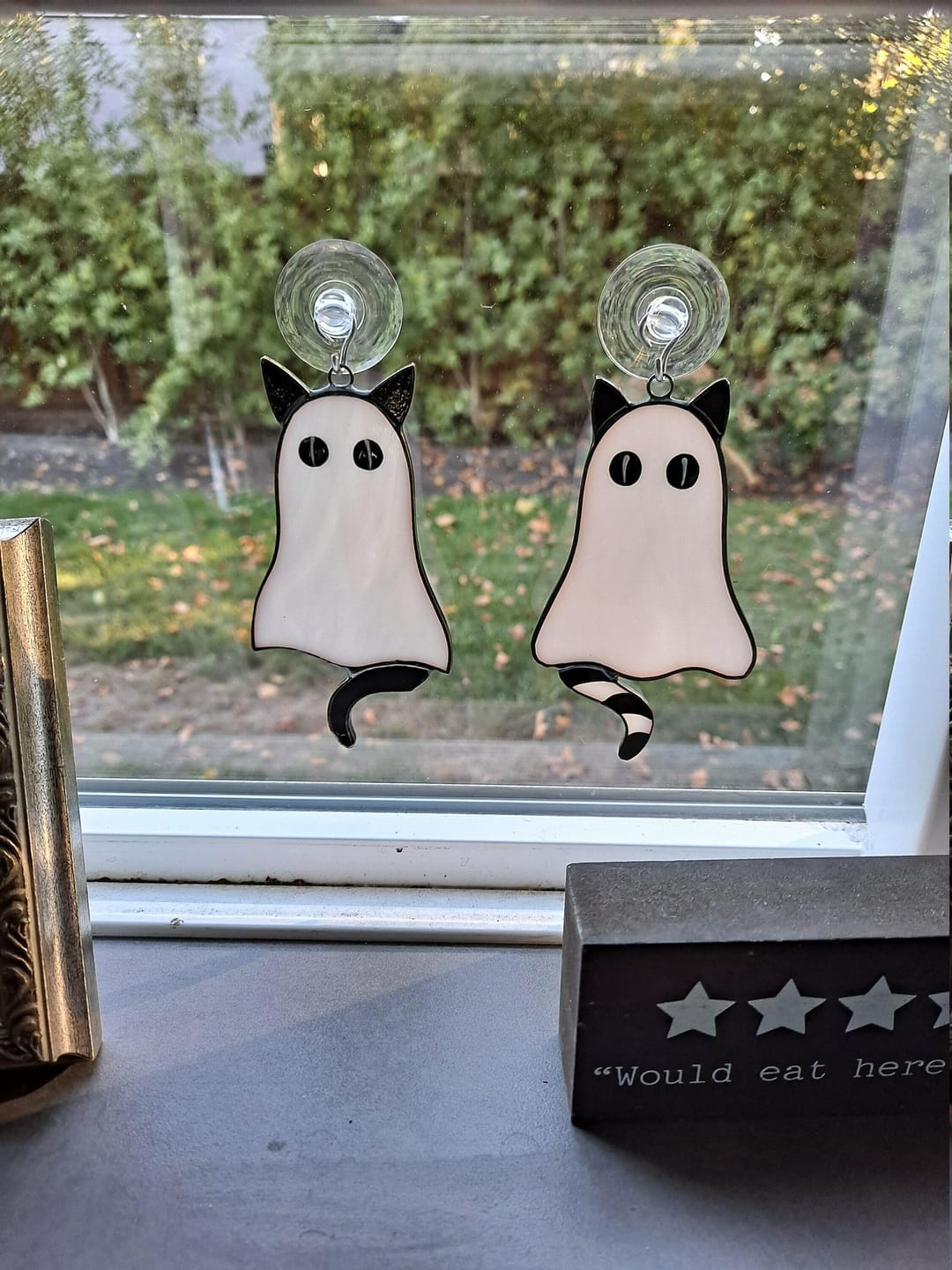 Customer photo review of Cat-Ghosts