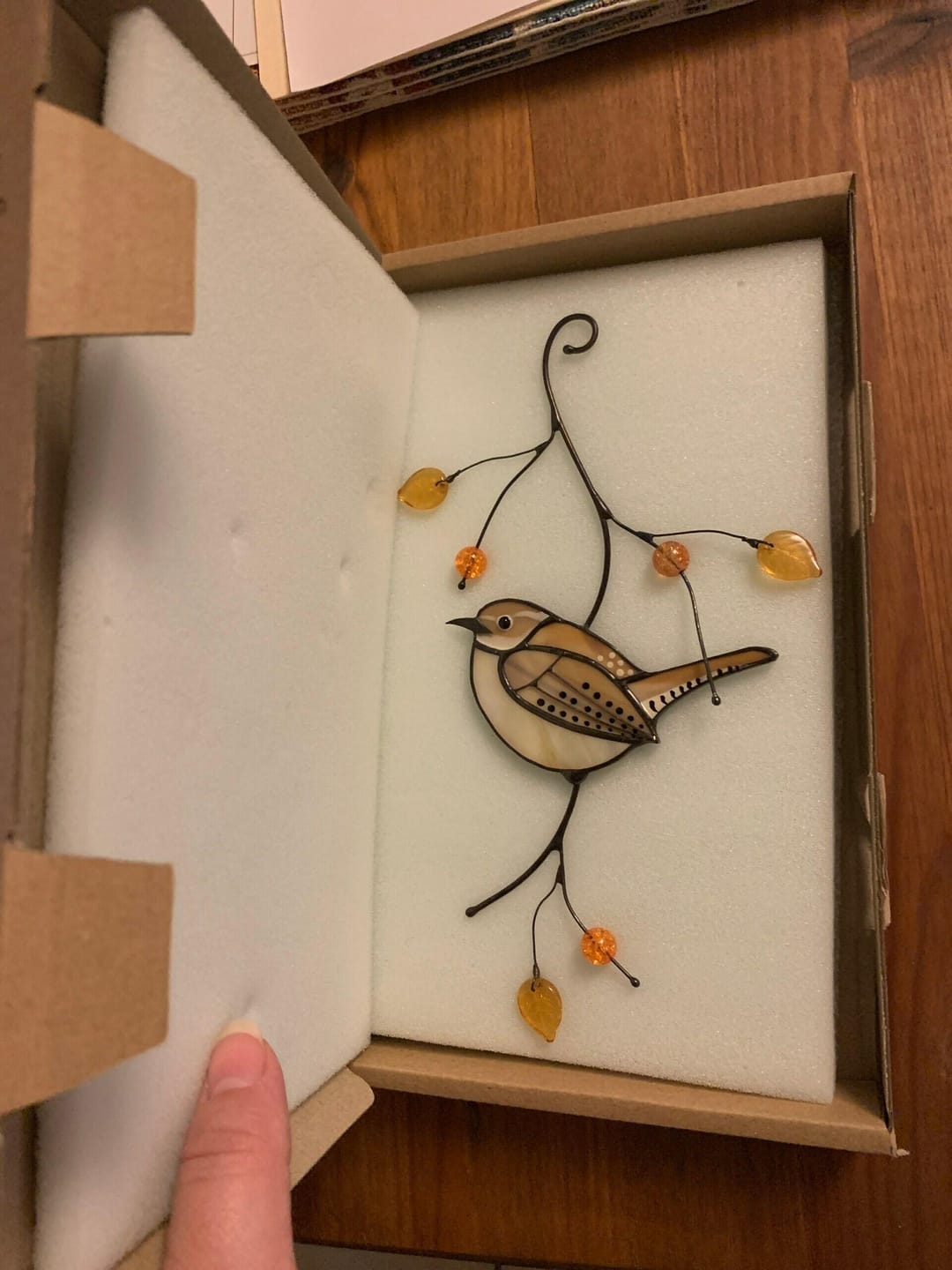Customer photo review of Carolina Wren