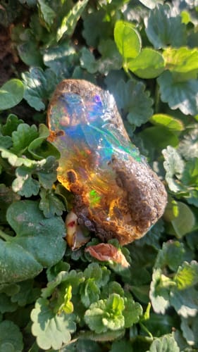 Customer photo review of 12.09g Rough Specimen