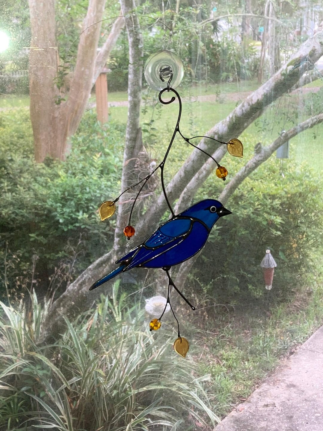 Customer photo review of Indigo Bunting Bird