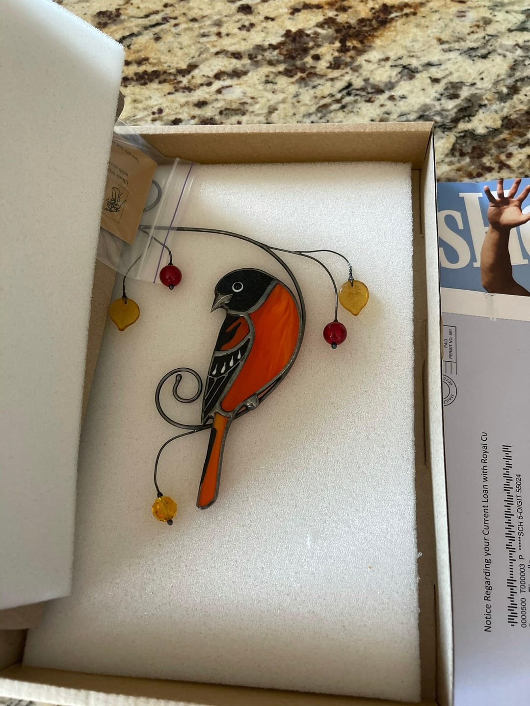 Customer photo review of Baltimore Oriole Bird