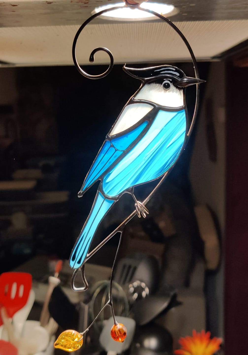 Customer photo review of Steller Jay Suncatcher