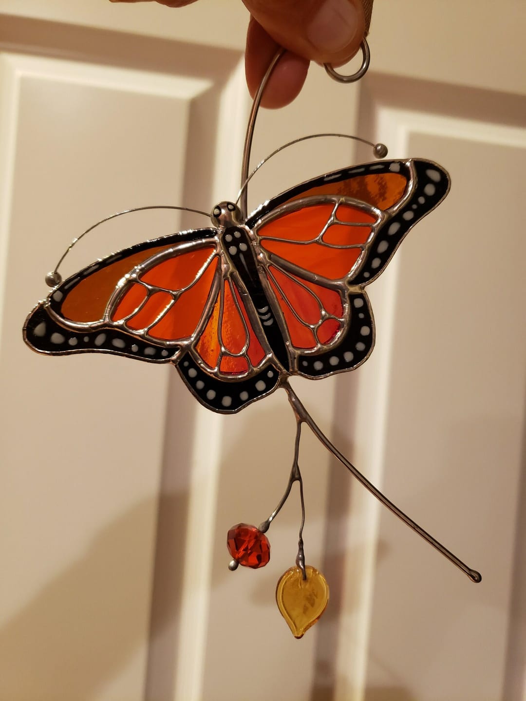 Customer photo review of Monarch Butterfly Top View