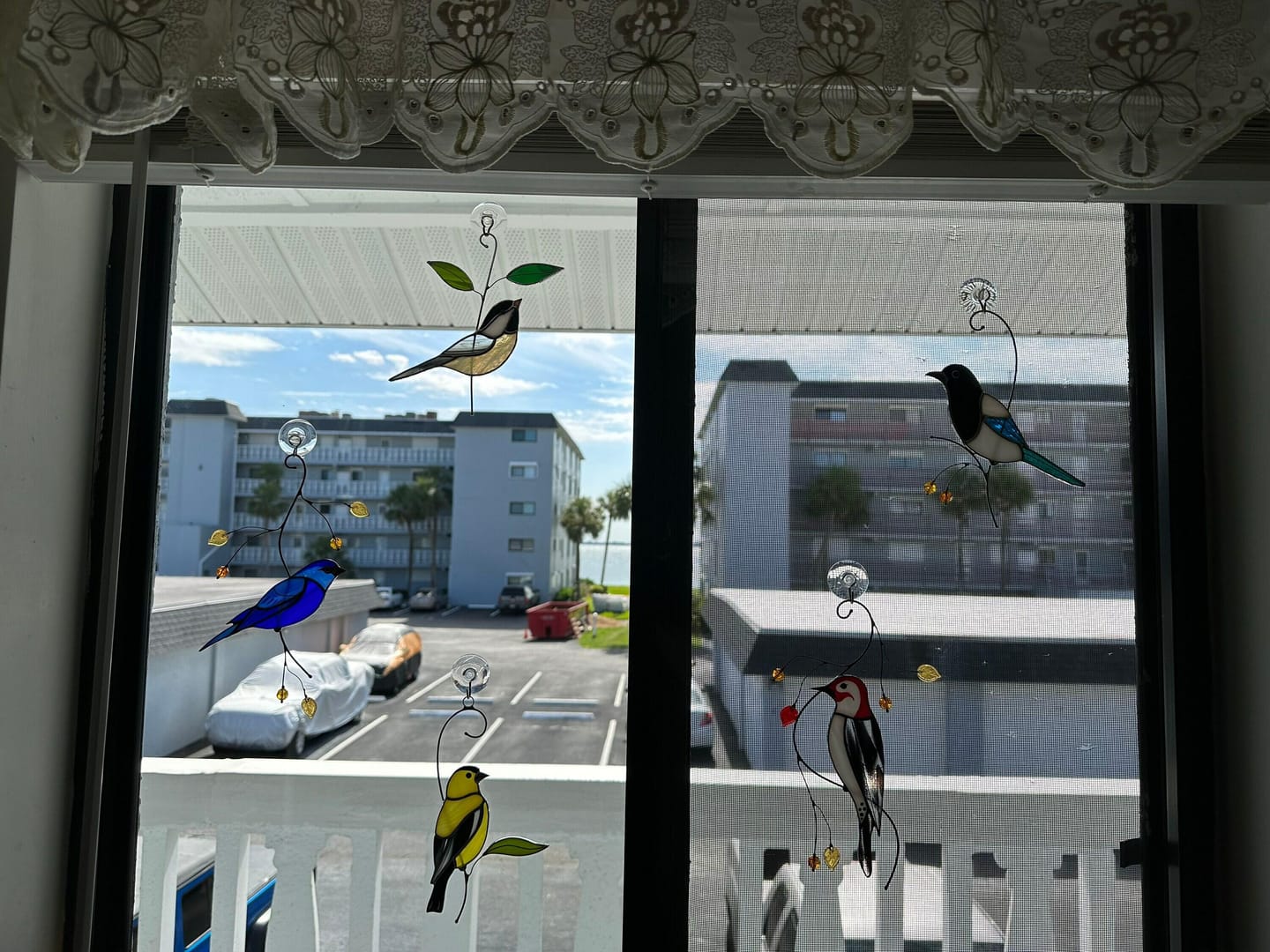 Customer photo review of Goldfinch Bird