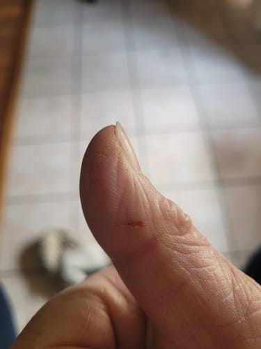 Customer photo review of Butter Toffee