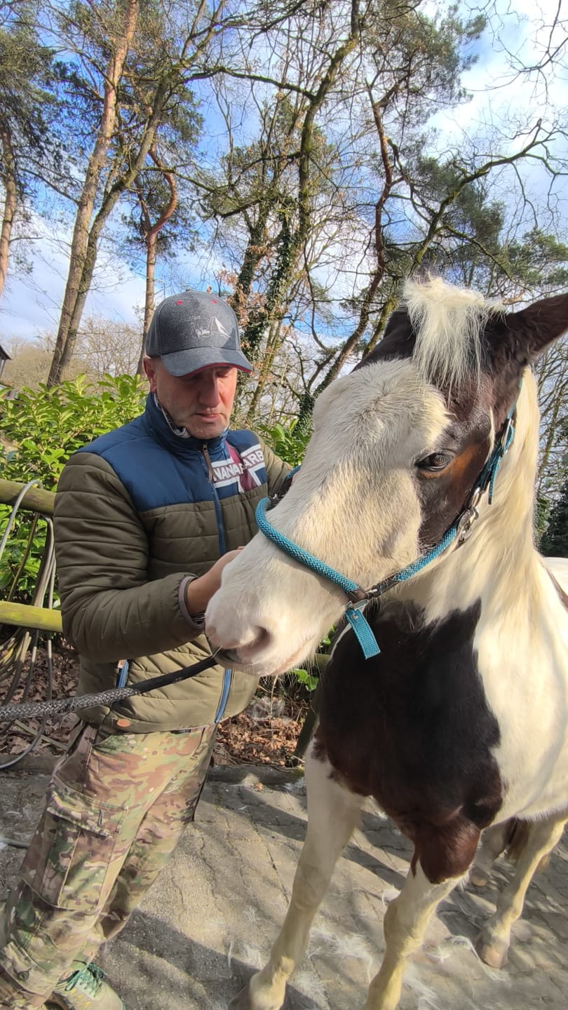 Customer photo review of Allergietest Plus Pferd