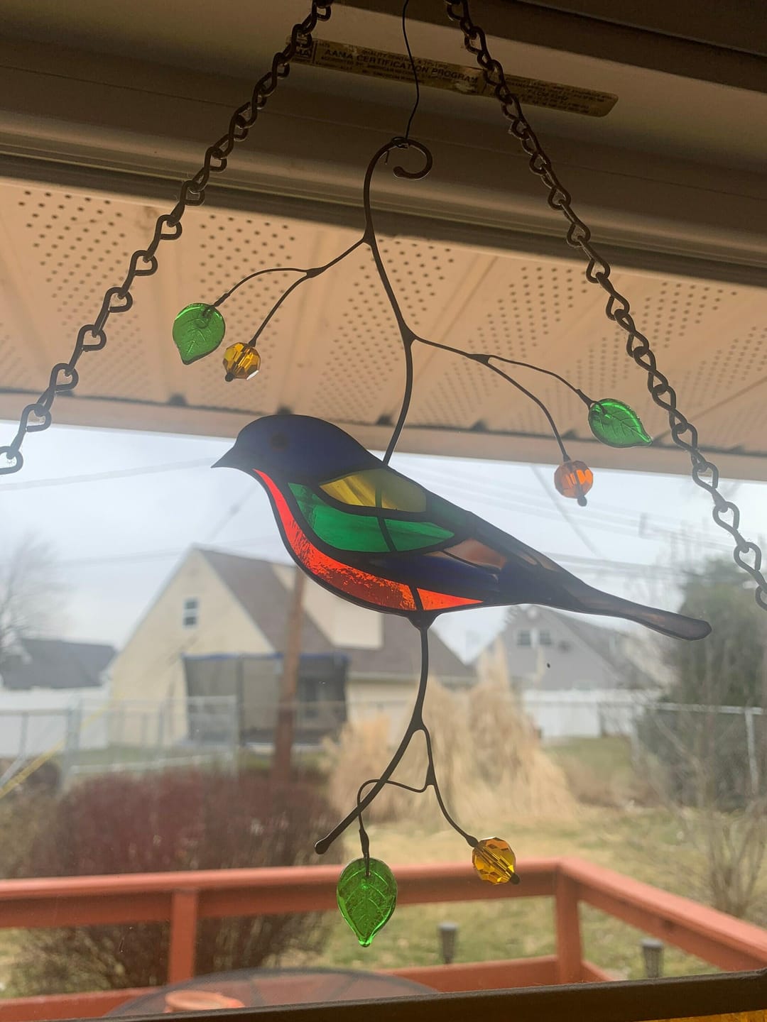 Customer photo review of Painting Bunting Bird