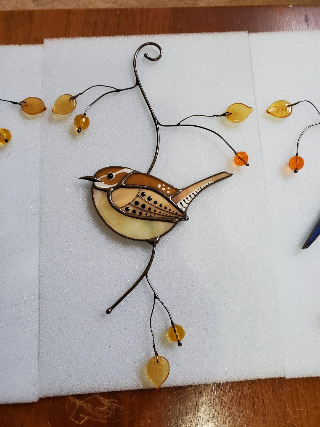 Customer photo review of Carolina Wren