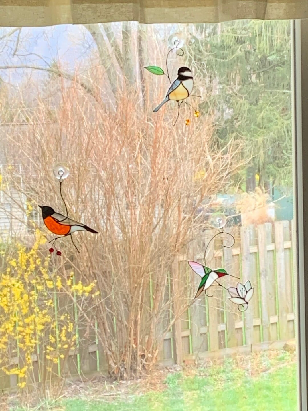 Customer photo review of Ruby-throated Hummingbird with the Flower
