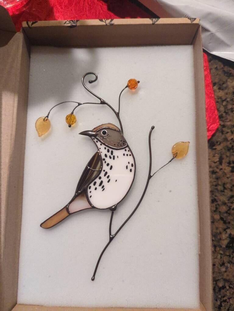 Customer photo review of Wood Thrush