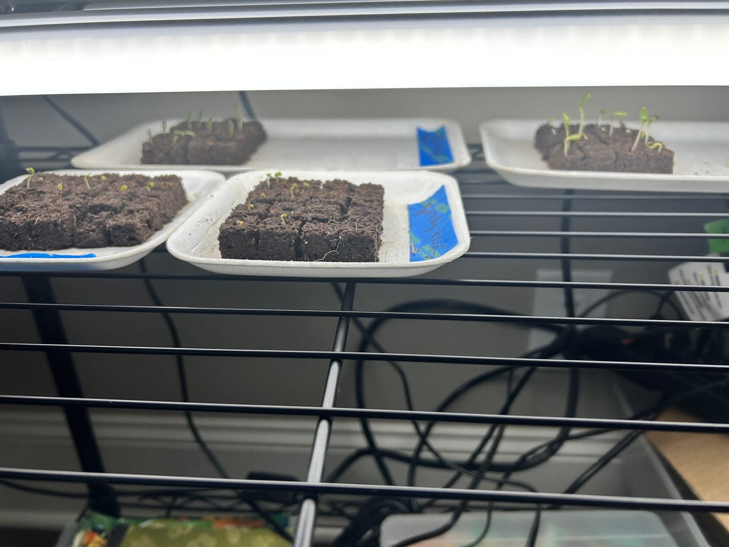 Customer photo review of Blocker Trays, Reusable Foam