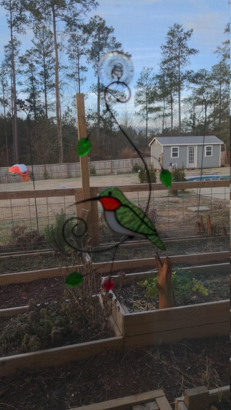 Customer photo review of Green Ruby-throated Hummingbird window hanging