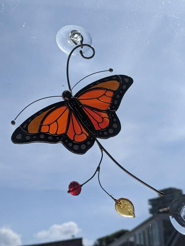 Customer photo review of Monarch Butterfly Top View