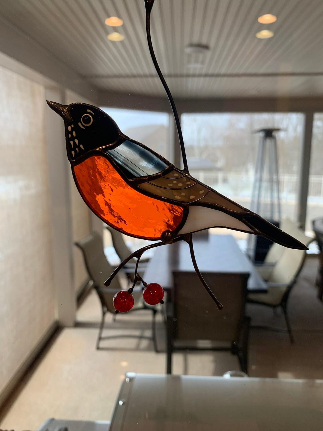 Customer photo review of American Robin Bird