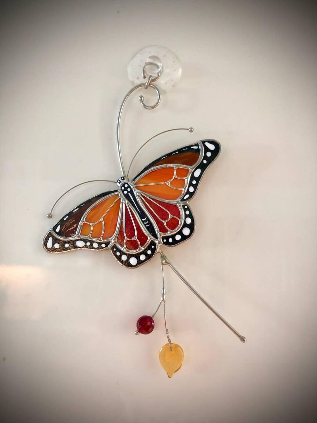 Customer photo review of Monarch Butterfly Top View