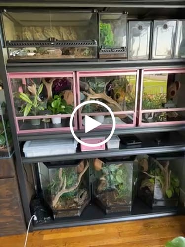Customer video review of 24 Gallon Reptile Enclosures 18x18x18" with Lock!