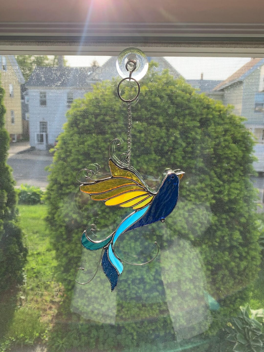 Customer photo review of Bird in UA colors