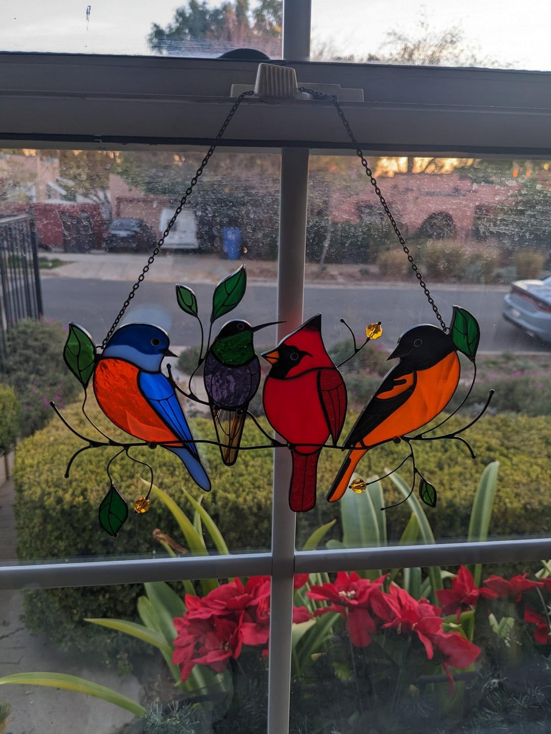 Customer photo review of Four Birds on the Branch