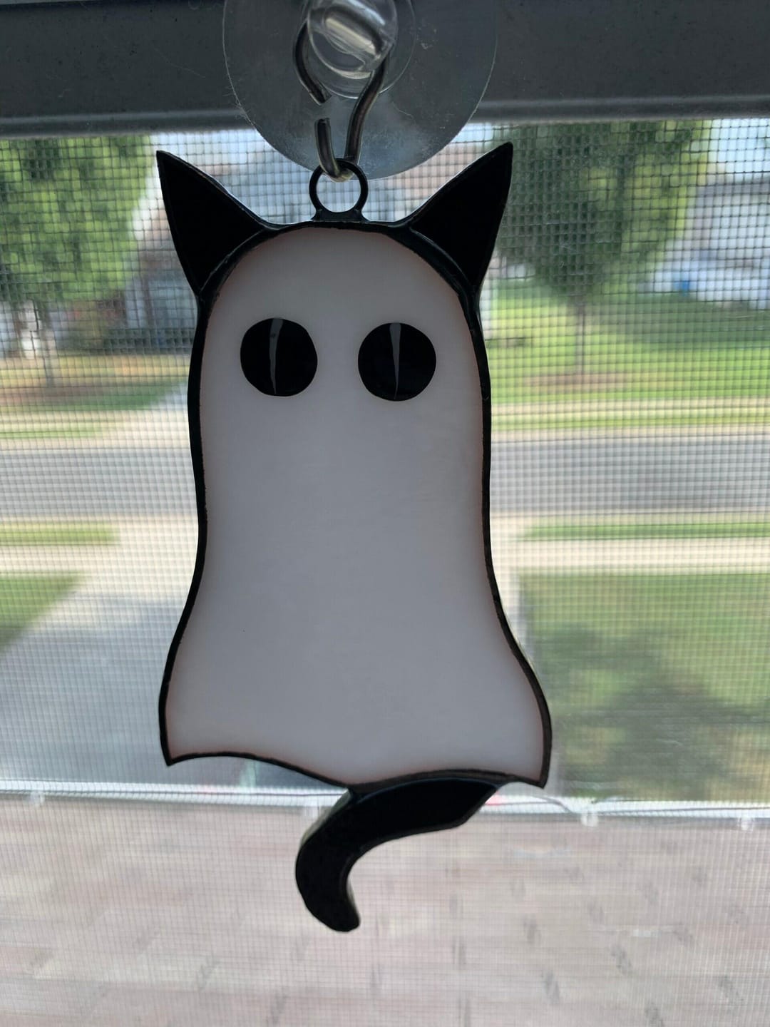 Customer photo review of Cat-Ghosts