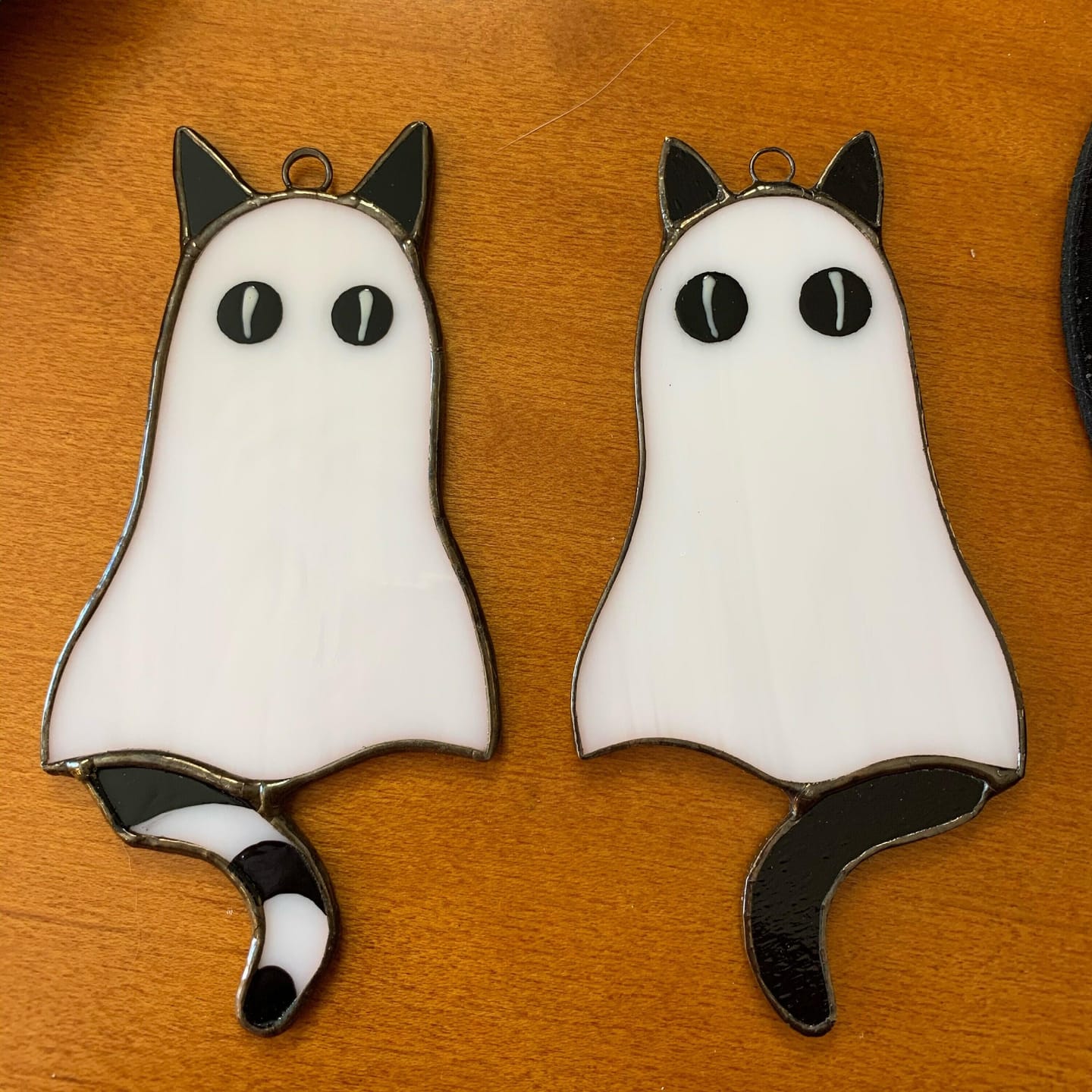 Customer photo review of Cat-Ghosts