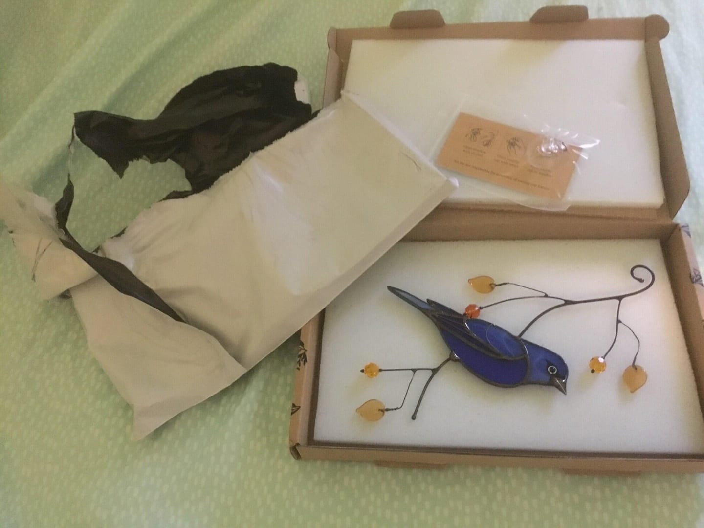 Customer photo review of Indigo Bunting Bird